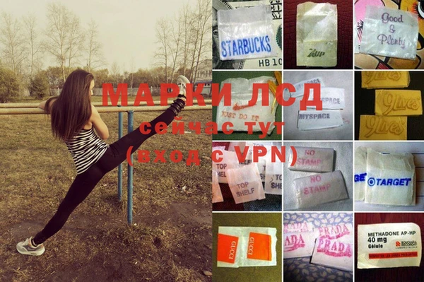 марки nbome Аркадак